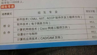 大學(xué)軟件測(cè)試方向?qū)I(yè)選擇指南 計(jì)算機(jī)網(wǎng)絡(luò)、計(jì)算機(jī)應(yīng)用與軟件技術(shù)深度解析